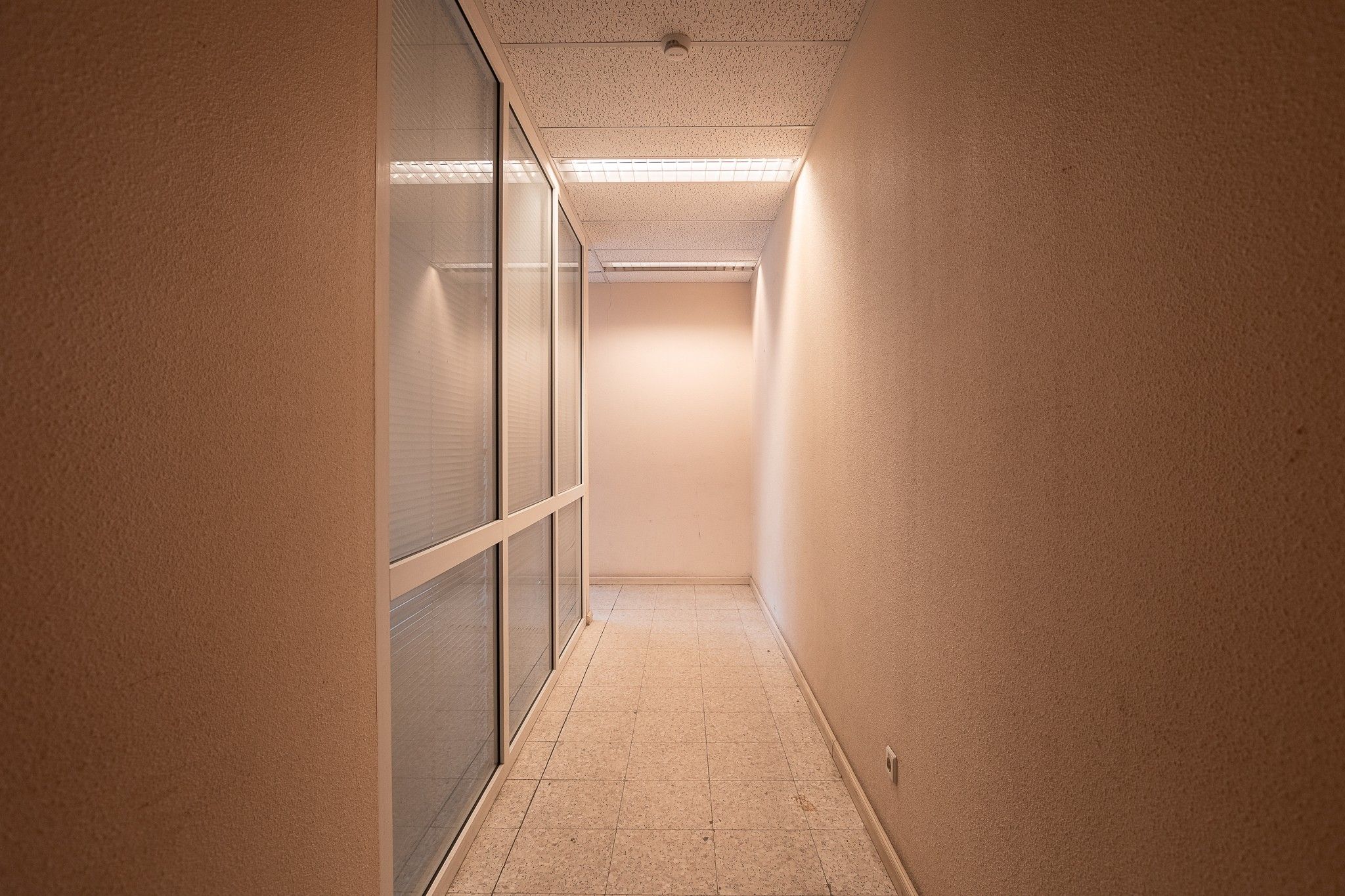 Dzelzavas 207_3